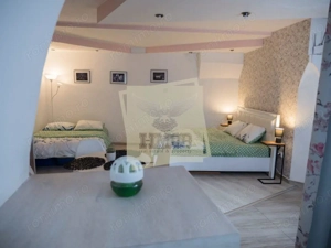 Studio pretabil regim hotelier in zona Centrala Sibiu - imagine 8
