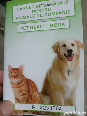 vând bison  - imagine 4