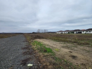 Vand teren în Bucovăț comision zero