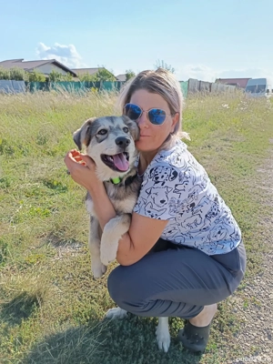 Adopție cățelușa de 8 luni și mama ei - imagine 5