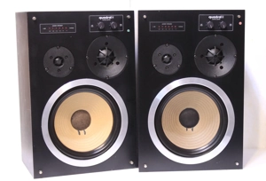 Boxe podea Quadral AQ5(2x80W).