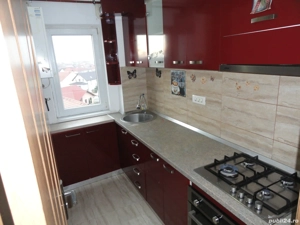 Apartament 1 camera la parter intr-un bloc de apartamente in Vlaicu, renovat, mobilat - imagine 4