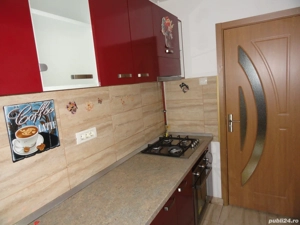 Apartament 1 camera la parter intr-un bloc de apartamente in Vlaicu, renovat, mobilat - imagine 5