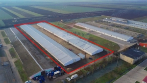 De vânzare – 2 hale industriale, 5.050 mp utili, Palota