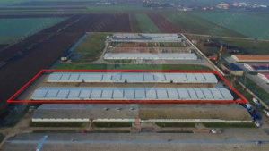 De vânzare – 2 hale industriale, 5.050 mp utili, Palota - imagine 4