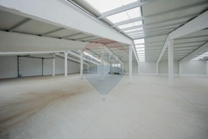 De închiriat -2 hale industriale, 5.050 mp utili, Palota , acces TIR - imagine 9