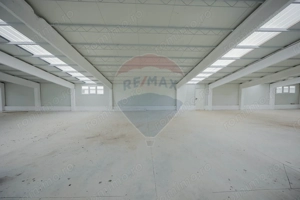 De vânzare – 2 hale industriale, 5.050 mp utili, Palota - imagine 12