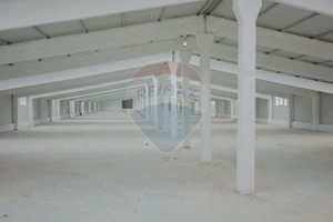 De închiriat -2 hale industriale, 5.050 mp utili, Palota , acces TIR - imagine 4