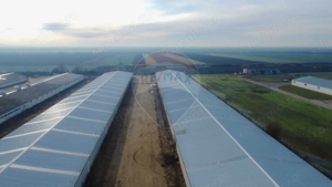 De vânzare – 2 hale industriale, 5.050 mp utili, Palota - imagine 5