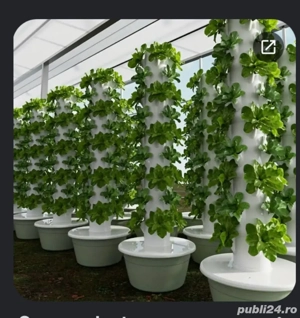 aquaphonic cu 11 rafturi