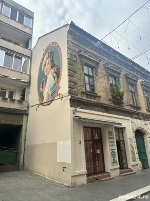 Spațiu comercial   zonă ultracentrală, stradă pietonală