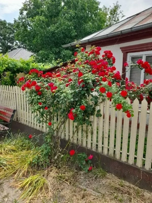 Casă de vânzare  - imagine 2