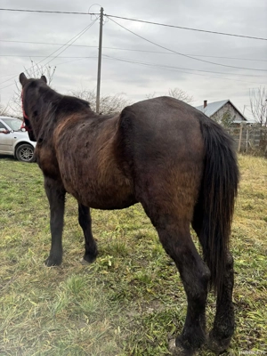 mai mult dettali privat - imagine 2