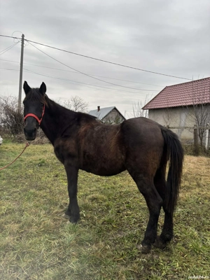 mai mult dettali privat - imagine 3