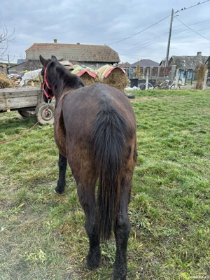 mai mult dettali privat - imagine 4