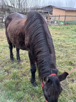 mai mult dettali privat - imagine 5