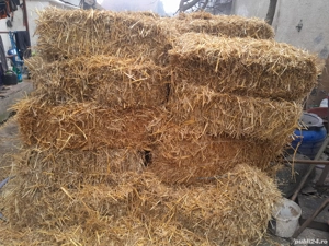  baloți de paie si otavă 