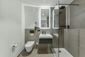 Inchiriere garsoniera in zona Politehnica - imagine 3