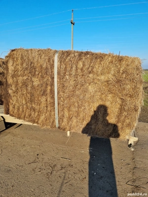 Vând baloți dreptunghiulari de fân