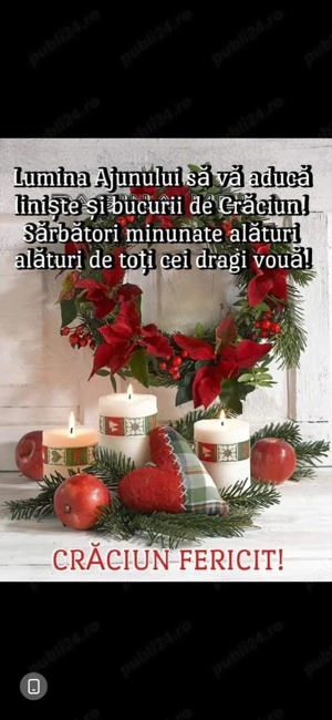 Femelă Ciobănesc Belgian Malinois   - imagine 2