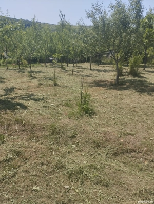 vand casa in judetul Salaj  - imagine 4