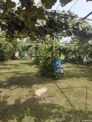 vand casa in judetul Salaj  - imagine 5