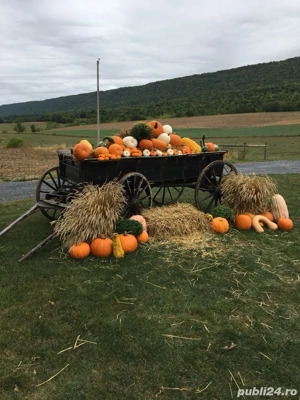 Decorațiune de căruța - imagine 3