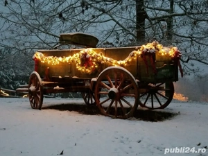 Decorațiune de căruța