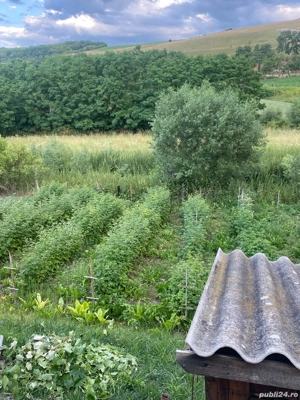 Vand teren cu casa batraneasca! - imagine 6