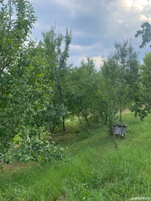 Vand teren cu casa batraneasca! - imagine 3
