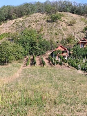 Teren Tileagd Bihor - imagine 3