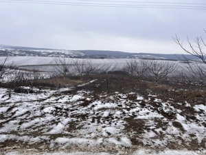 Teren intravilan loc. Iezer, (Padureni) jud. Botoșani - imagine 5