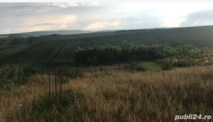 Teren intravilan loc. Iezer, (Padureni) jud. Botoșani - imagine 2