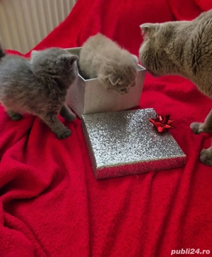 Cadoul perfect pentru orice eveniment! - imagine 2