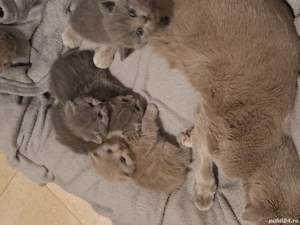 Cadoul perfect pentru orice eveniment!