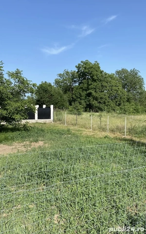 Teren intravilan -municipiul Bacău 