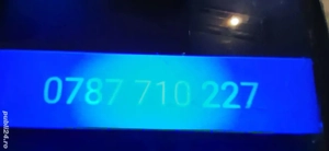 vând porci  - imagine 3