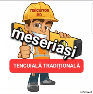 Tencuială tradițională Renovări