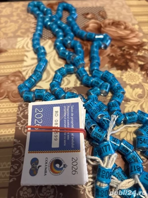 inele porumbei - imagine 2