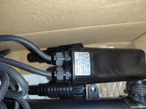 acvaristica  - imagine 2