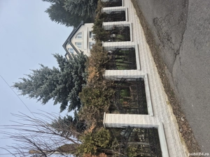 Vand vilă în Targu Mures, deasupra de UMF, Cornișa 