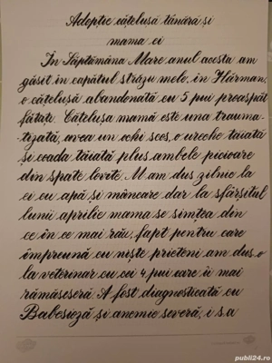Cățelușa de 8 luni si mama ei - imagine 2