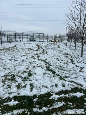 Persoana fizica exclus agentii - imagine 5