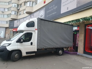 Transport, Mutari, Relocari, Debarasari in Arad, Romania, Europa