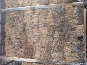 Baloti trifoi lucernă si ghizdei 