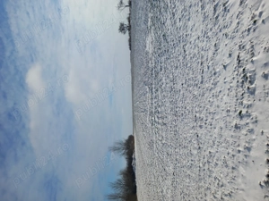 Teren intravilan de vanzare - imagine 4