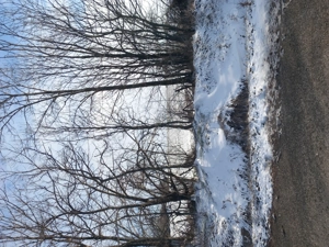 Teren intravilan de vanzare - imagine 5