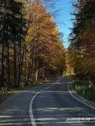 vand padure in satul Vistisoara, comuna Vistea 2,5 ha si in satul Vistea de jos  4,00 ha  - imagine 2