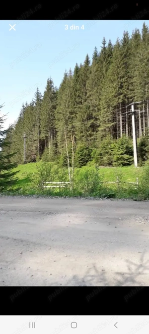 Padure cu teren de vanzare 