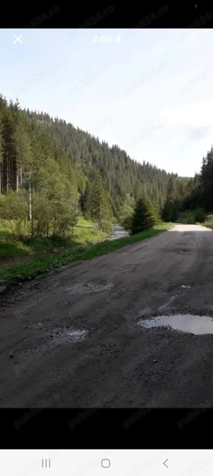 Padure cu teren de vanzare 